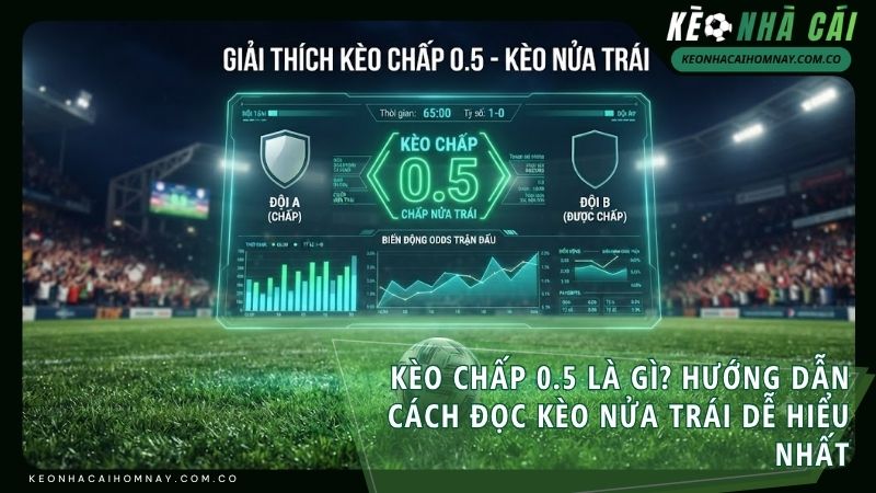keo chap 0 5 la gi - Kèo Chấp 0.5 Là Gì? Hướng Dẫn Cách Đọc Kèo Nửa Trái Dễ Hiểu Nhất
